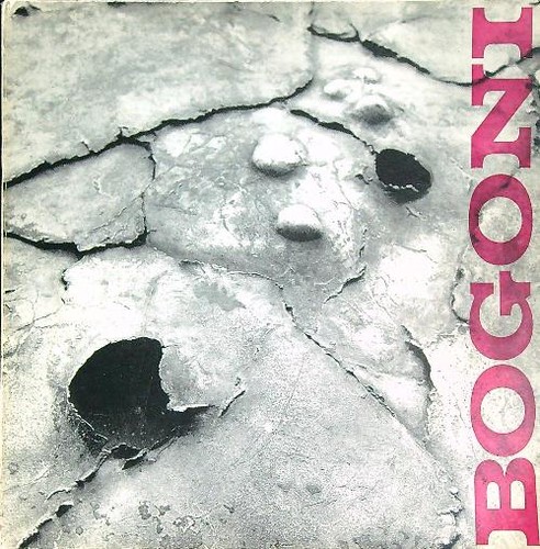 Gino bogoni attivita - bogoni., attivita'