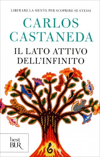 Libro lato attivo - lato,