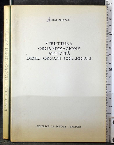 Struttura organizzazione - struttura,
